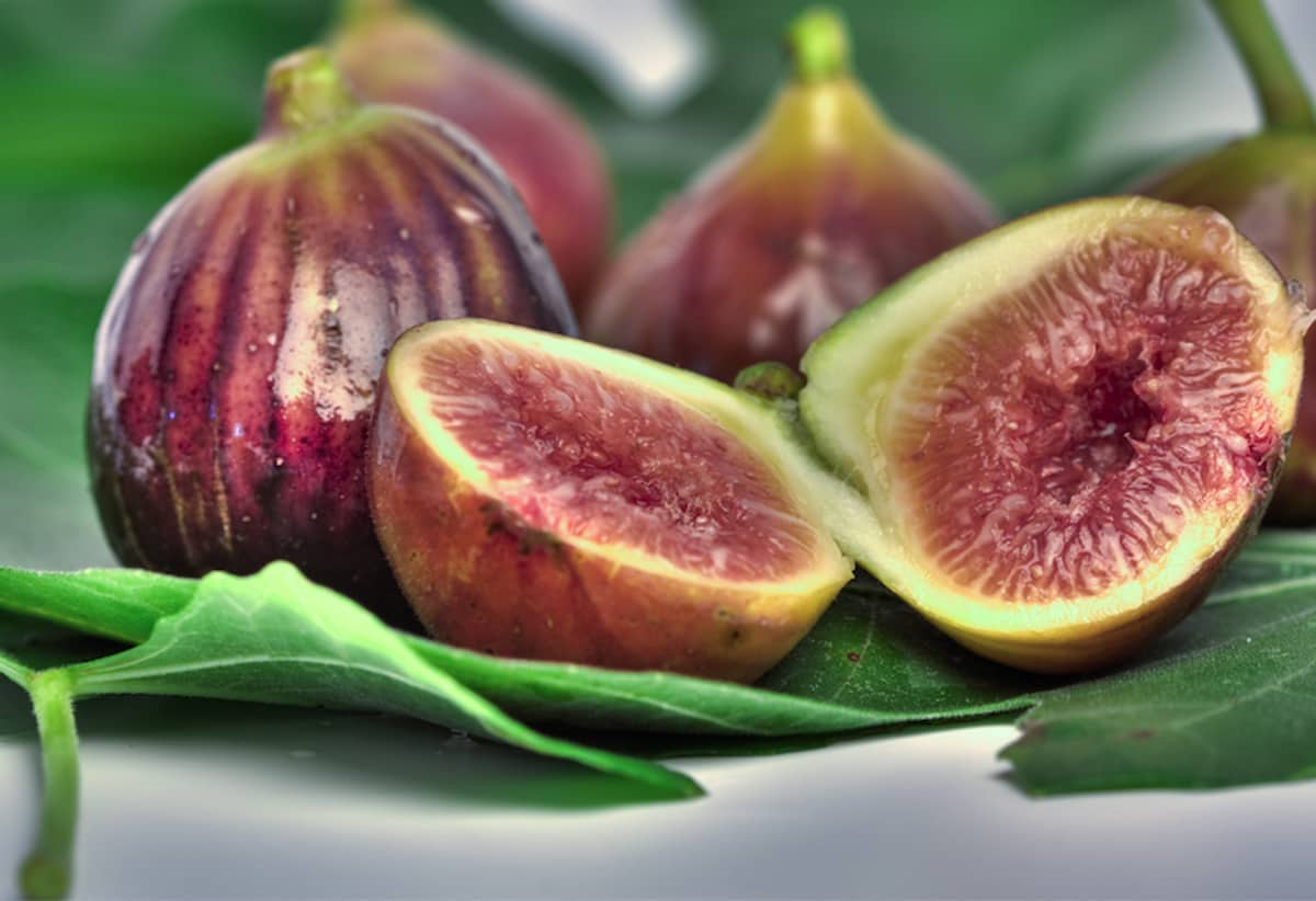  Fresh Fig Per Kg in Chennai; Common Adriatic Celeste Types Magnesium Vitamin K 