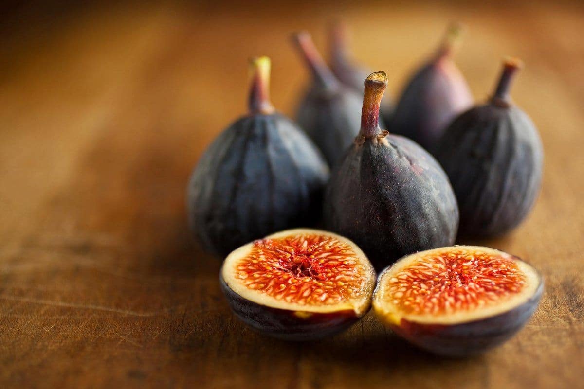  South African organic fig Purchase Price + Sales In Trade And Export 