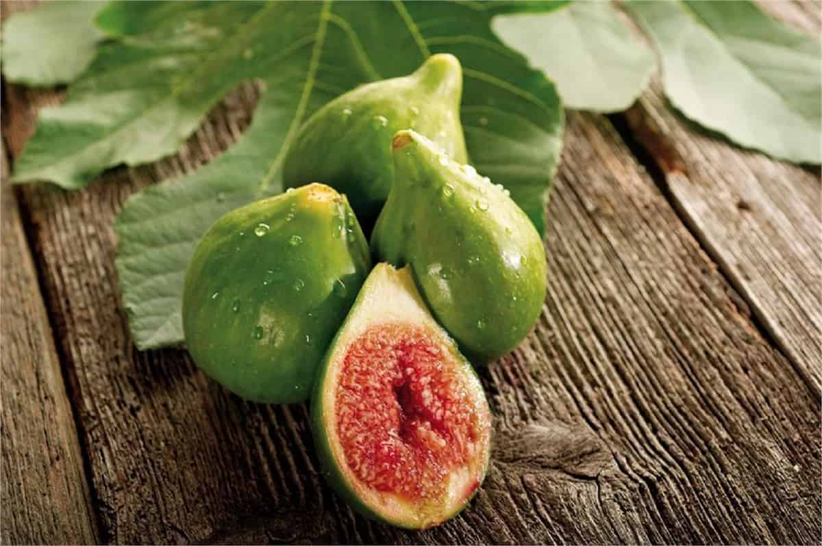  South African organic fig Purchase Price + Sales In Trade And Export 