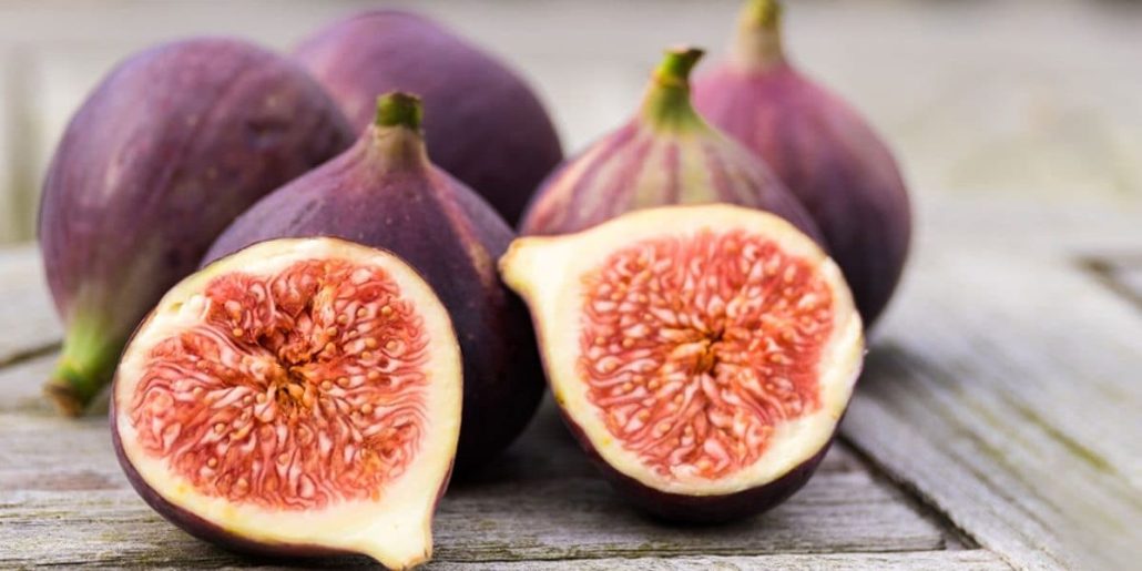  Buy The Best Types of pollinated wasps figs At a Cheap Price 