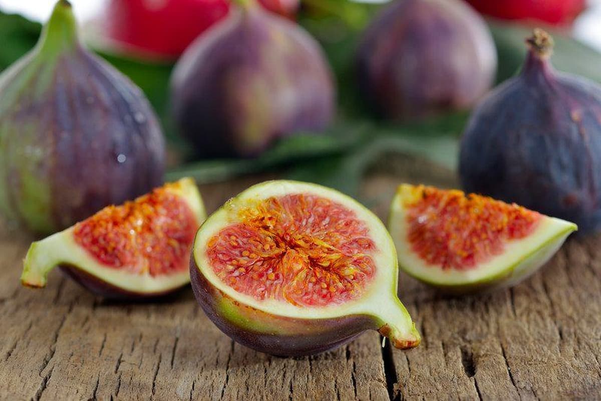  Fresh Figs USA (Ficus Carica) Sweet Nutritious Fiber Antioxidants Source 