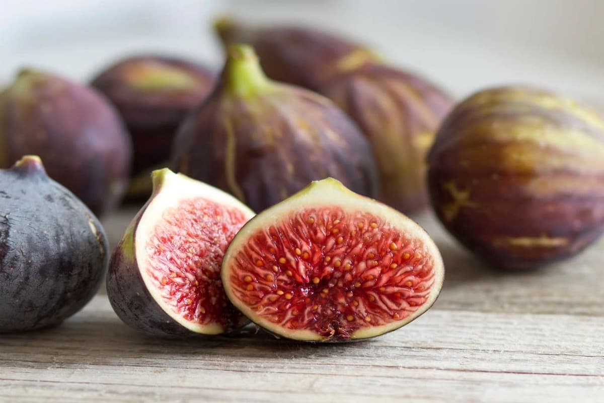  Fresh Figs USA (Ficus Carica) Sweet Nutritious Fiber Antioxidants Source 