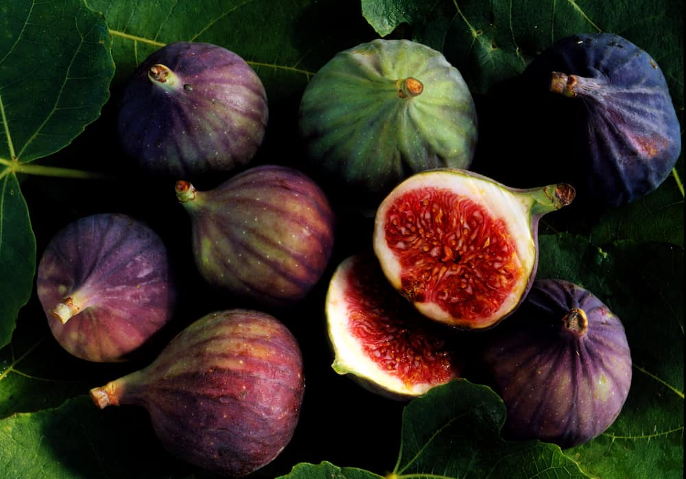  Buy dry fig fruit Types + Price 