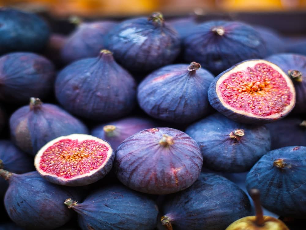  Buy dry fig fruit Types + Price 