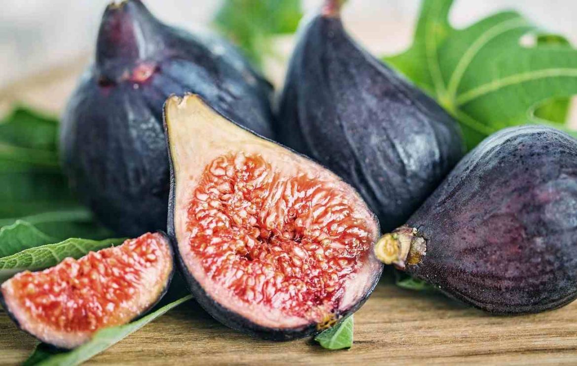 Black Mission Figs vs Turkish Figs Nutrition