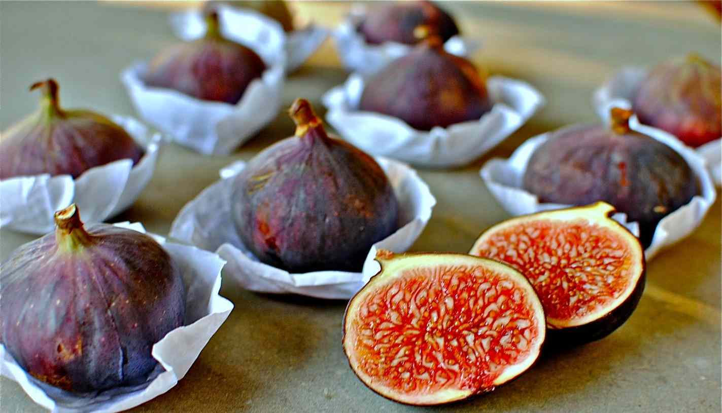  Black Mission Figs vs Turkish Figs Nutrition 