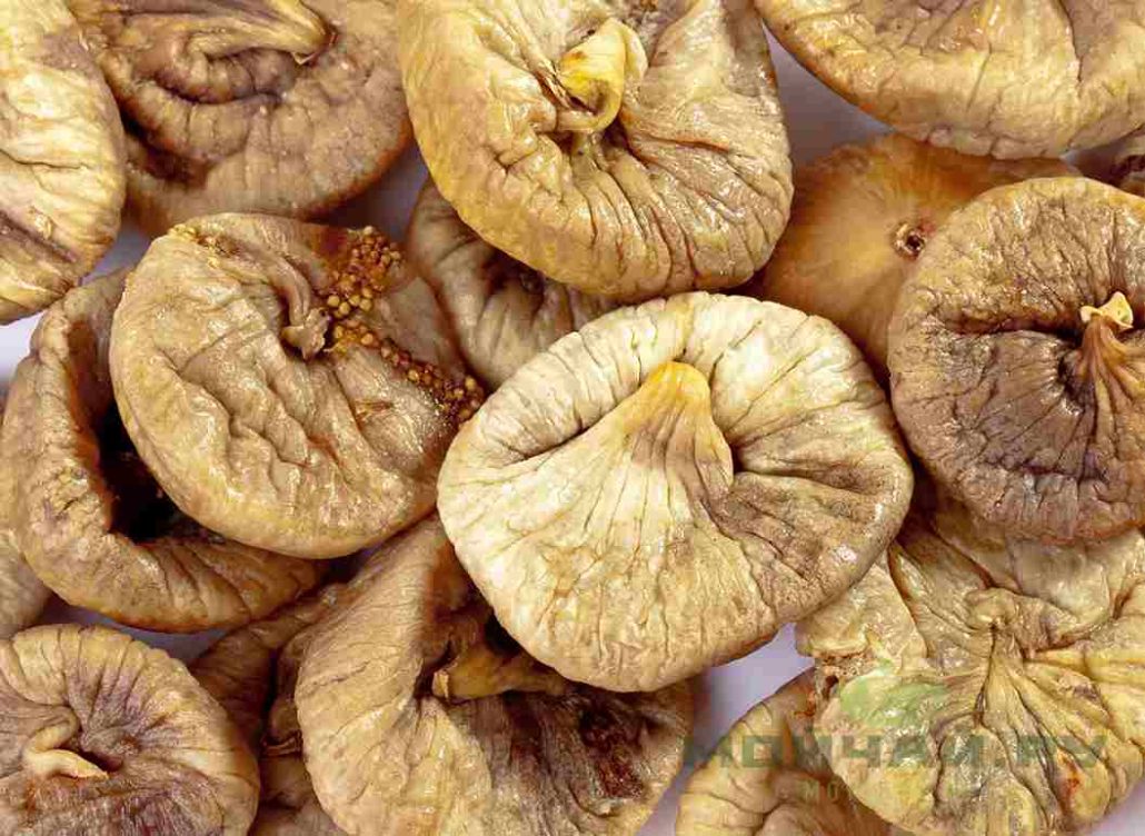  the purchase price of organic dried figs + training 