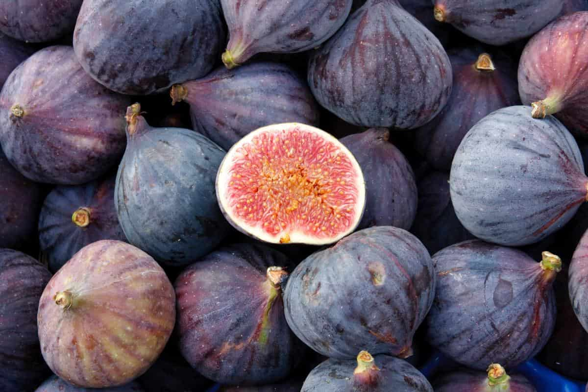  Fresh Fig Per Pound; Potassium Magnesium Copper Source 4 Vitamins A B C K 