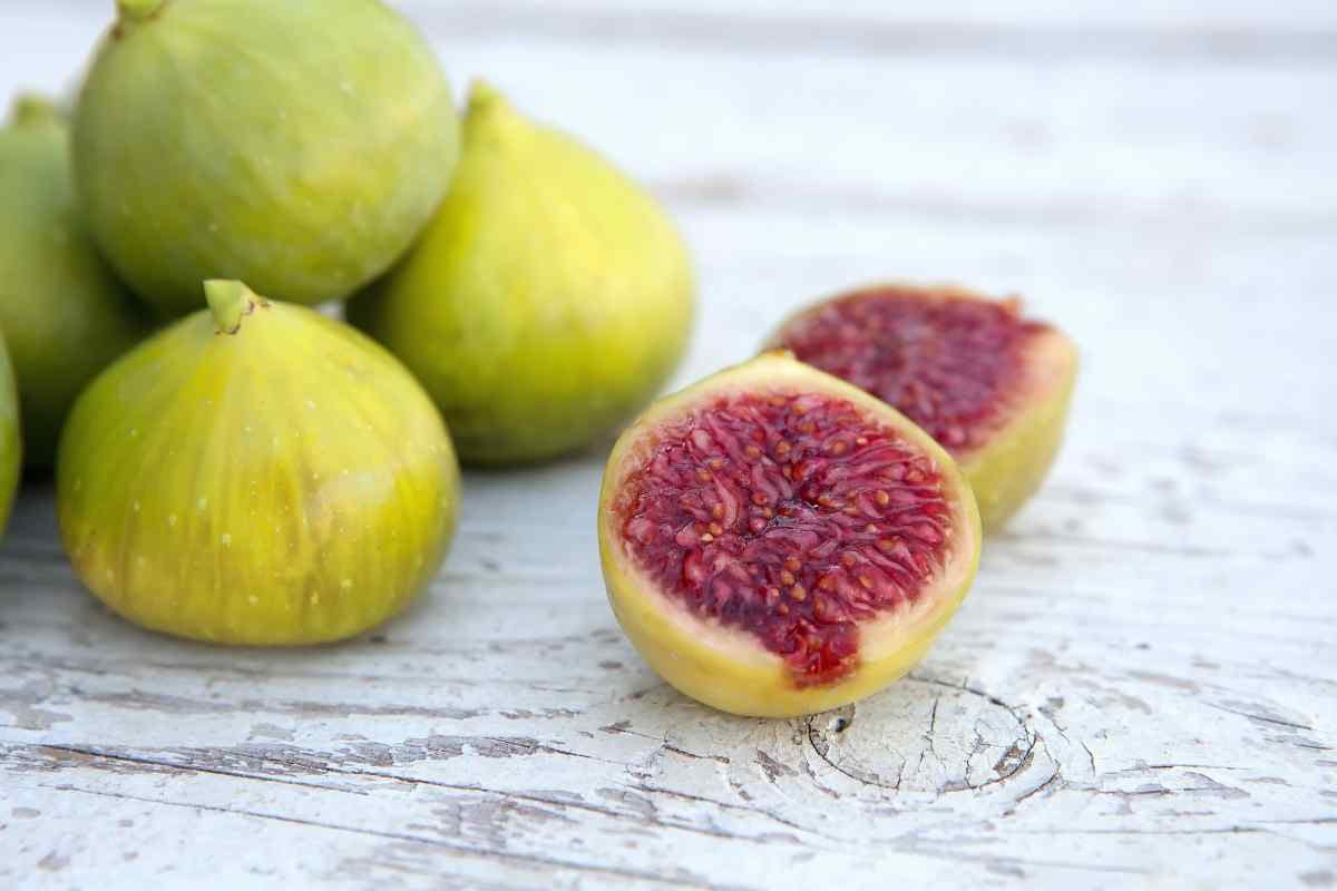  Green Figs Price 