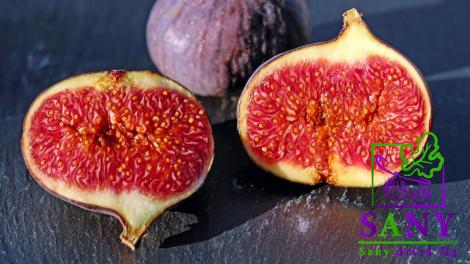 dried green fig price list wholesale and economical